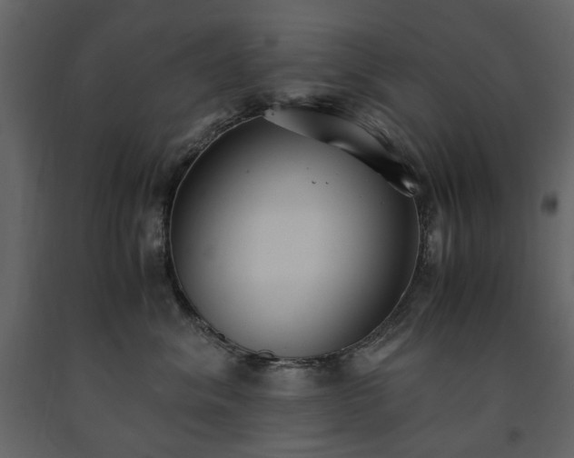 X0000091520620200708241651