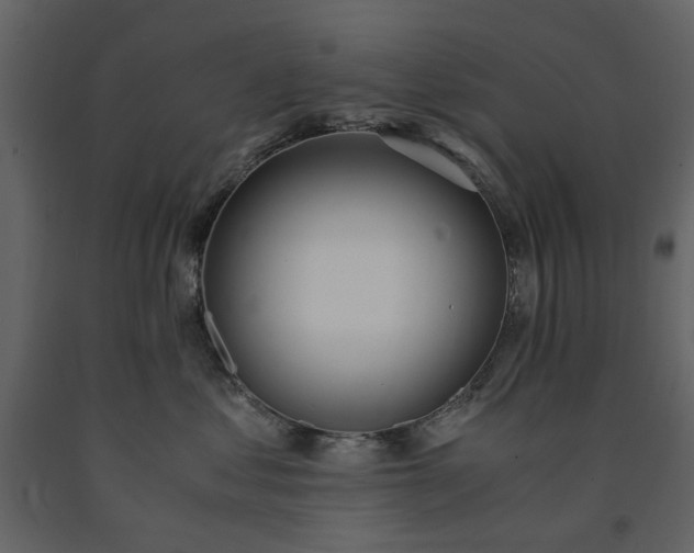 X0000091520621200708241651