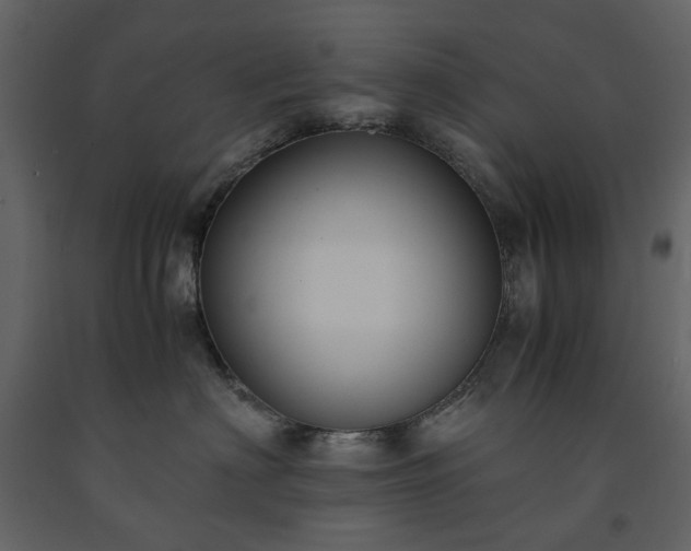 X0000091520622200708241651