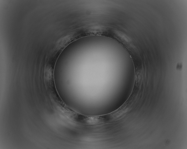 X0000091520623200708241651