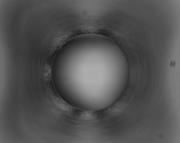 X0000091520624200708241651
