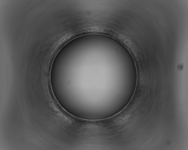 X0000091520625200708241650