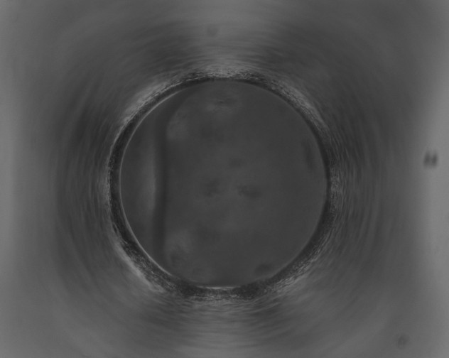 X0000091520626200708241650