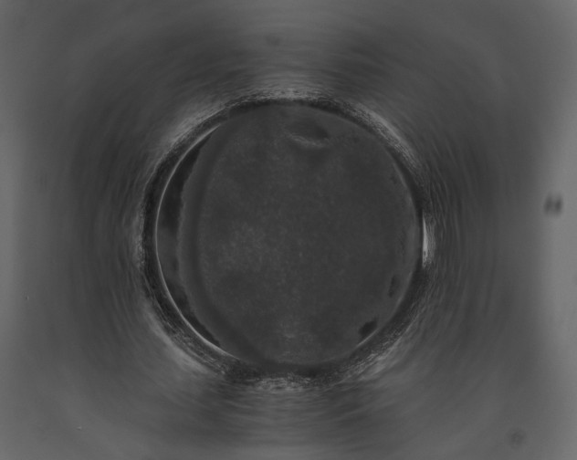 X0000091520627200708241650