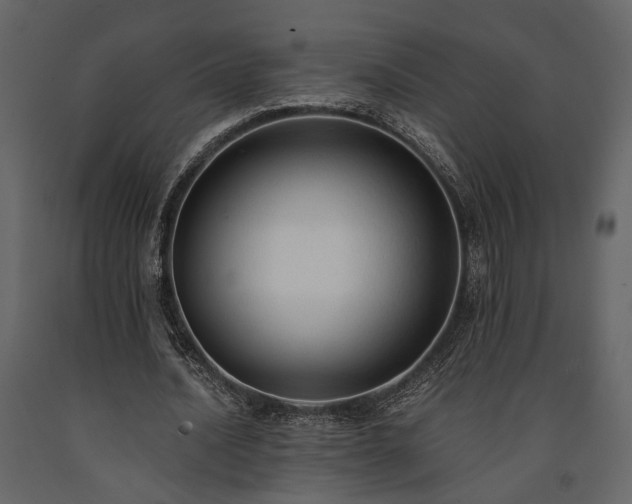 X0000091520628200708241650