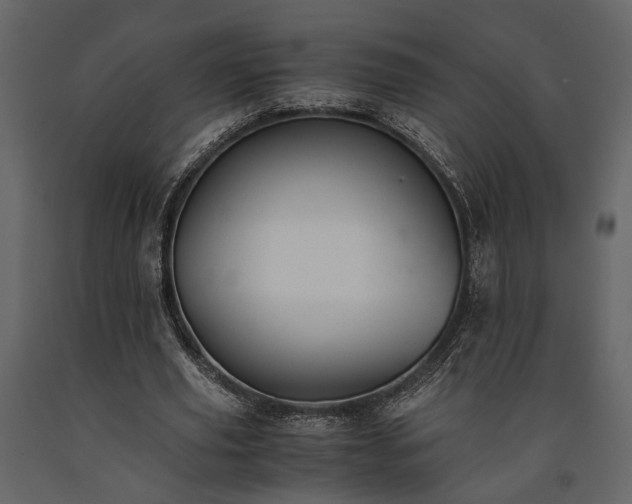 X0000091520629200708241650