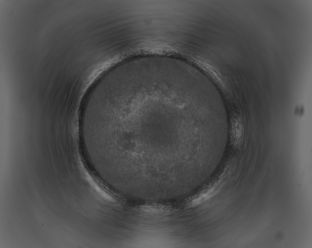 X0000091520630200708241650