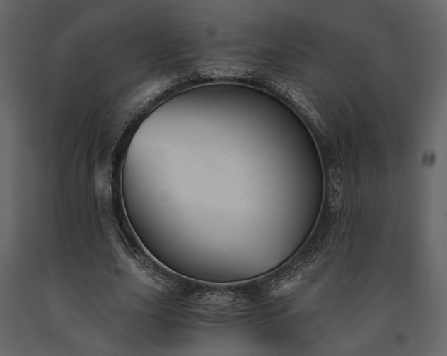X0000091520631200708241650