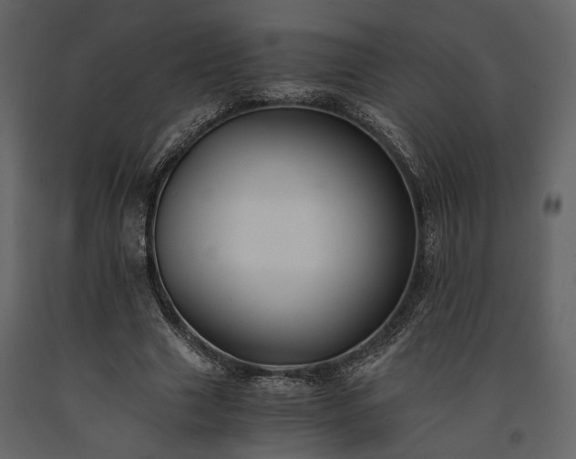 X0000091520633200708241650