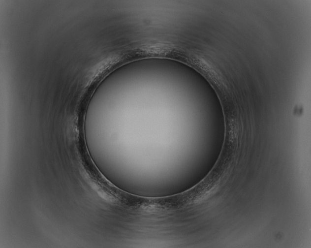 X0000091520634200708241650