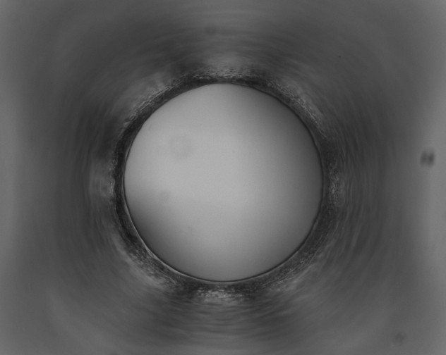 X0000091520635200708241650