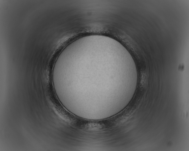 X0000091520636200708241650