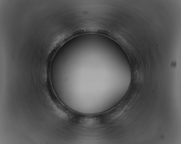 X0000091520638200708241650