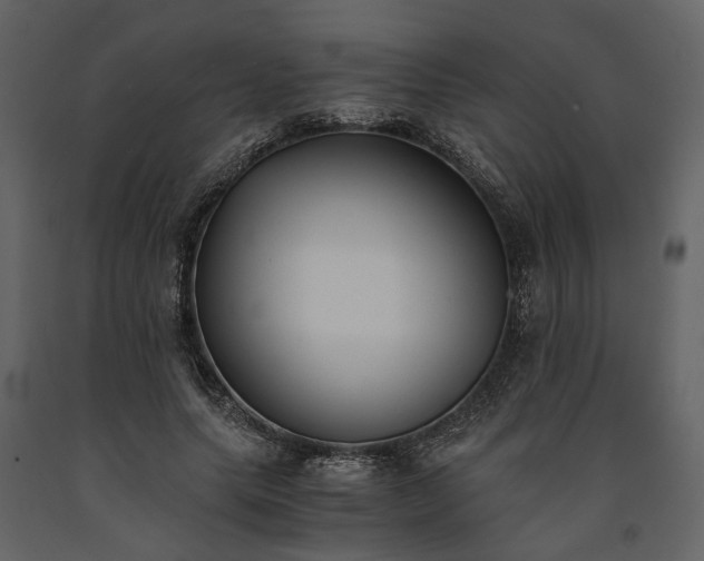 X0000091520639200708241650