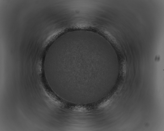 X0000091520640200708241650