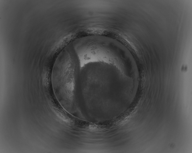 X0000091520641200708241650