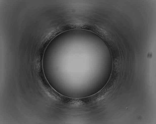 X0000091520642200708241650