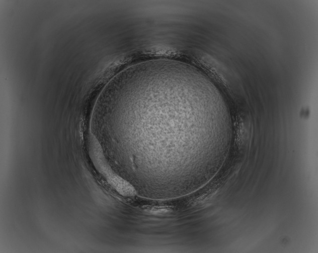 X0000091520643200708241650
