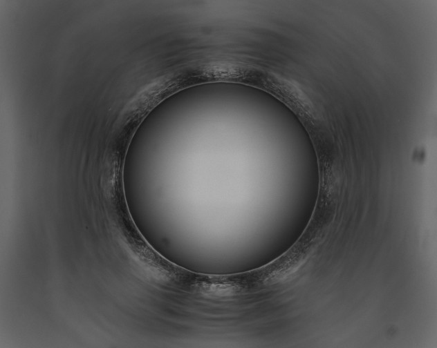 X0000091520645200708241650