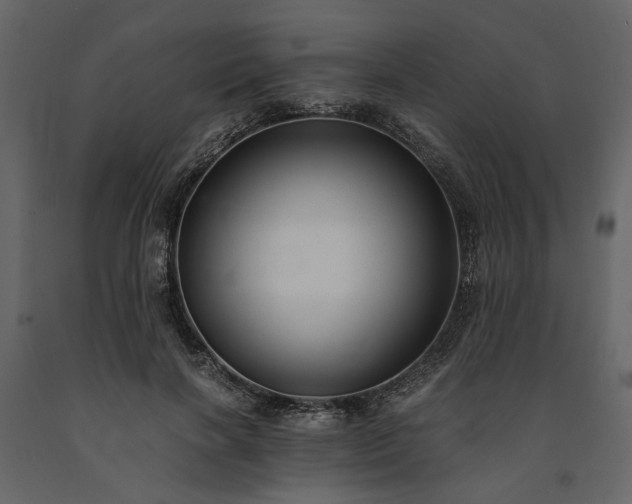 X0000091520646200708241650