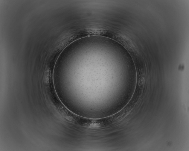 X0000091520647200708241650