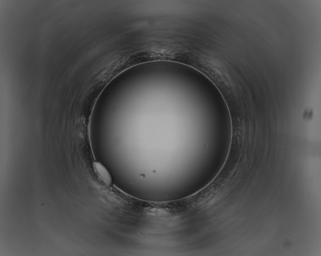 X0000091520649200708241650