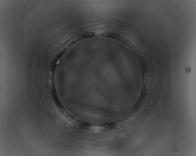 X0000091520650200708241650