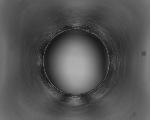 X0000091520651200708241650