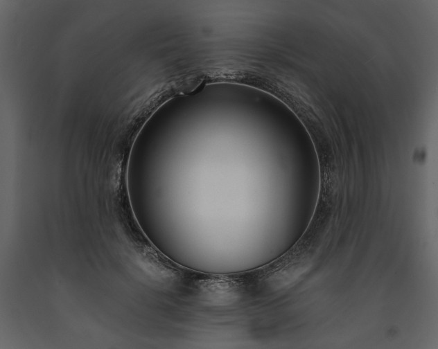 X0000091520652200708241650