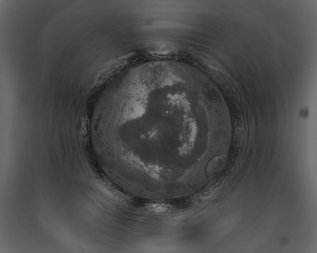X0000091520654200708241651