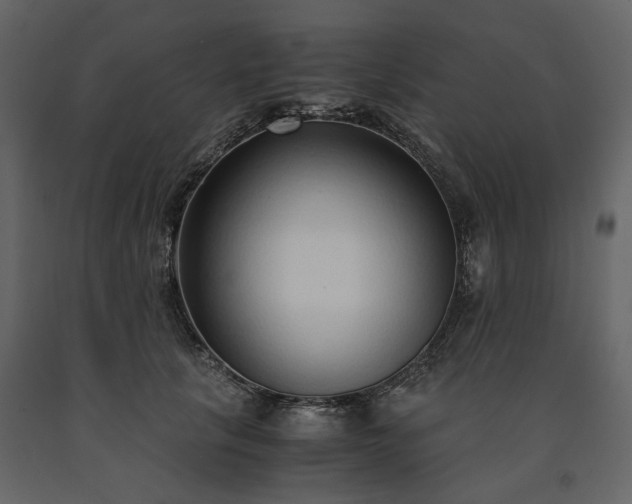 X0000091520657200708241651