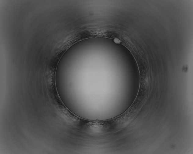 X0000091520658200708241651