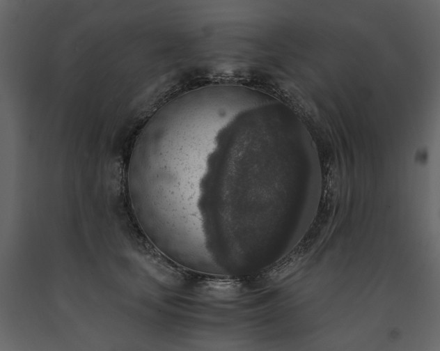 X0000091520659200708241651