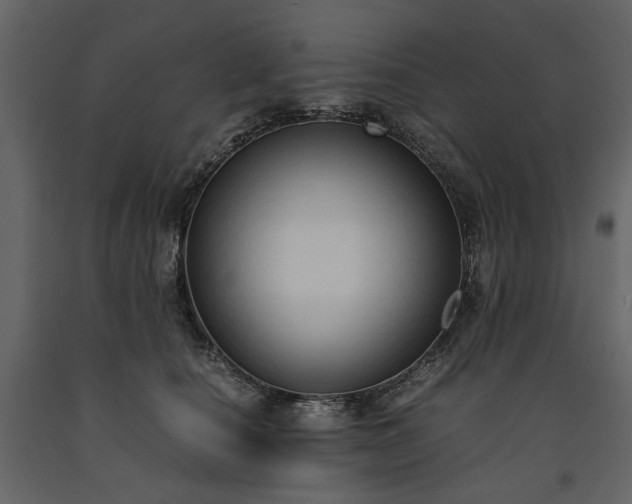 X0000091520660200708241651