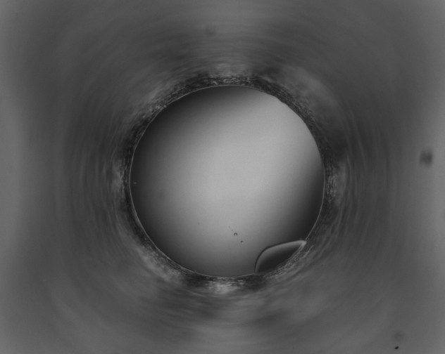 X0000091520662200708241651