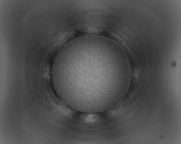 X0000091520663200708241651