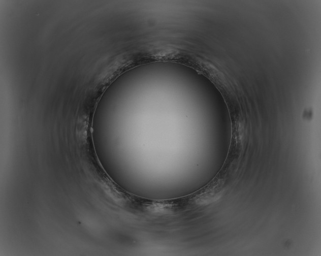 X0000091520664200708241651