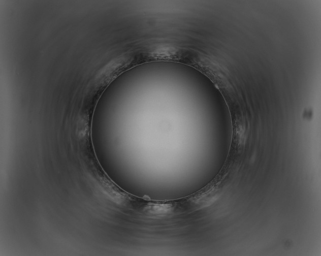 X0000091520665200708241651