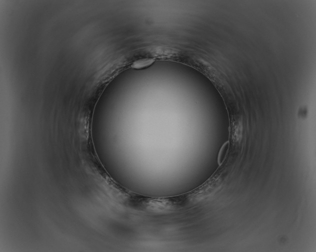 X0000091520666200708241651