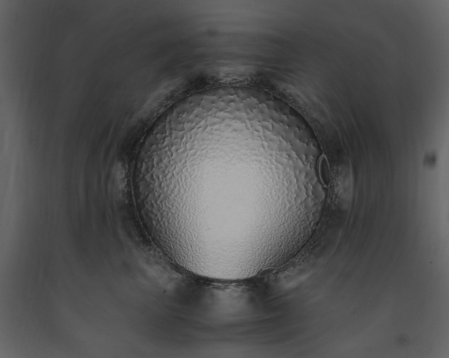 X0000091520667200708241651