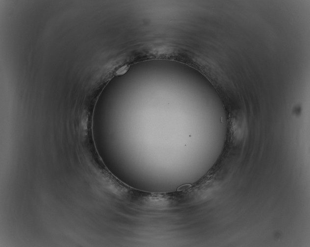 X0000091520668200708241651