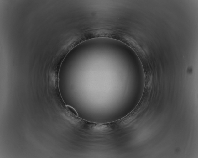 X0000091520669200708241651