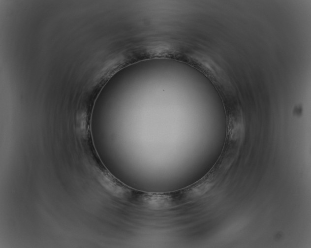 X0000091520670200708241651