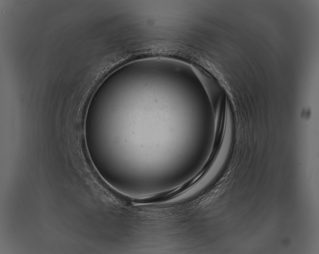 X0000091520673200708241650