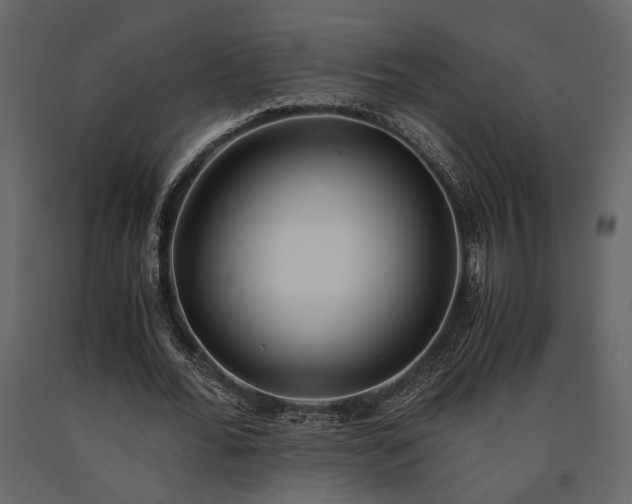 X0000091520676200708241650