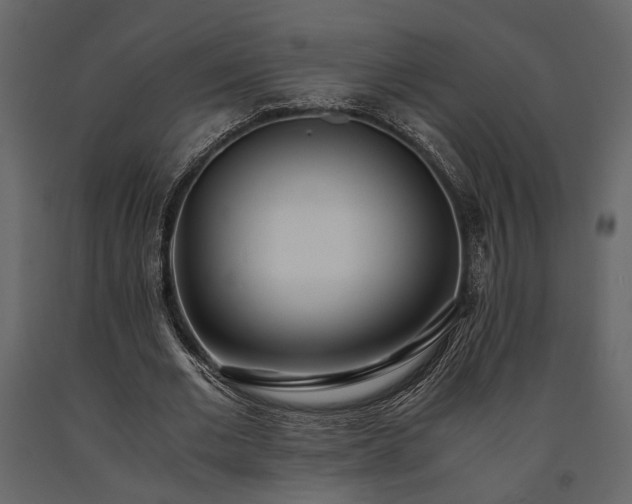 X0000091520677200708241650