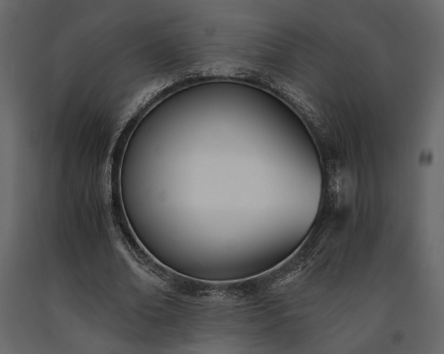 X0000091520678200708241650