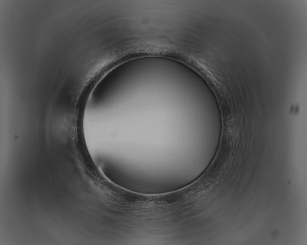 X0000091520679200708241650