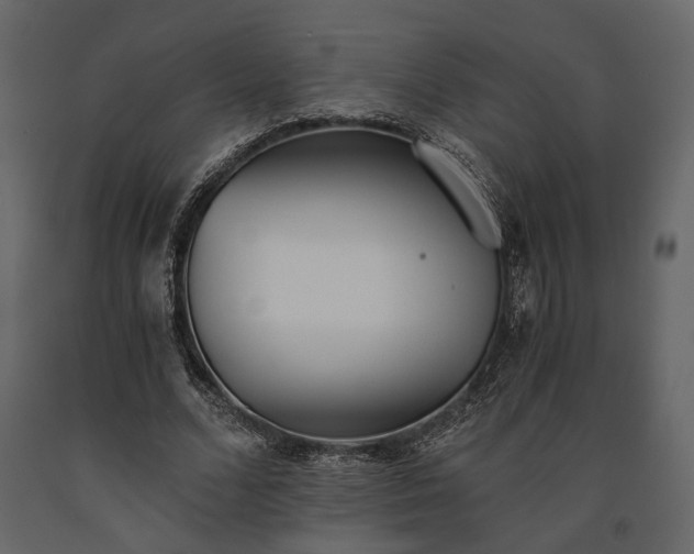 X0000091520680200708241650