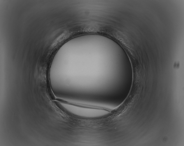 X0000091520681200708241650